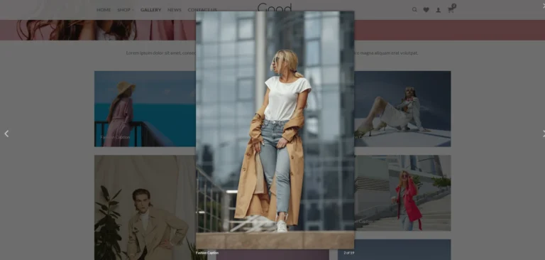 ร้านขายเสื้อผ้า สร้างเว็บไซต์ แพ็กเกจเว็บไซต์ Gallery template
